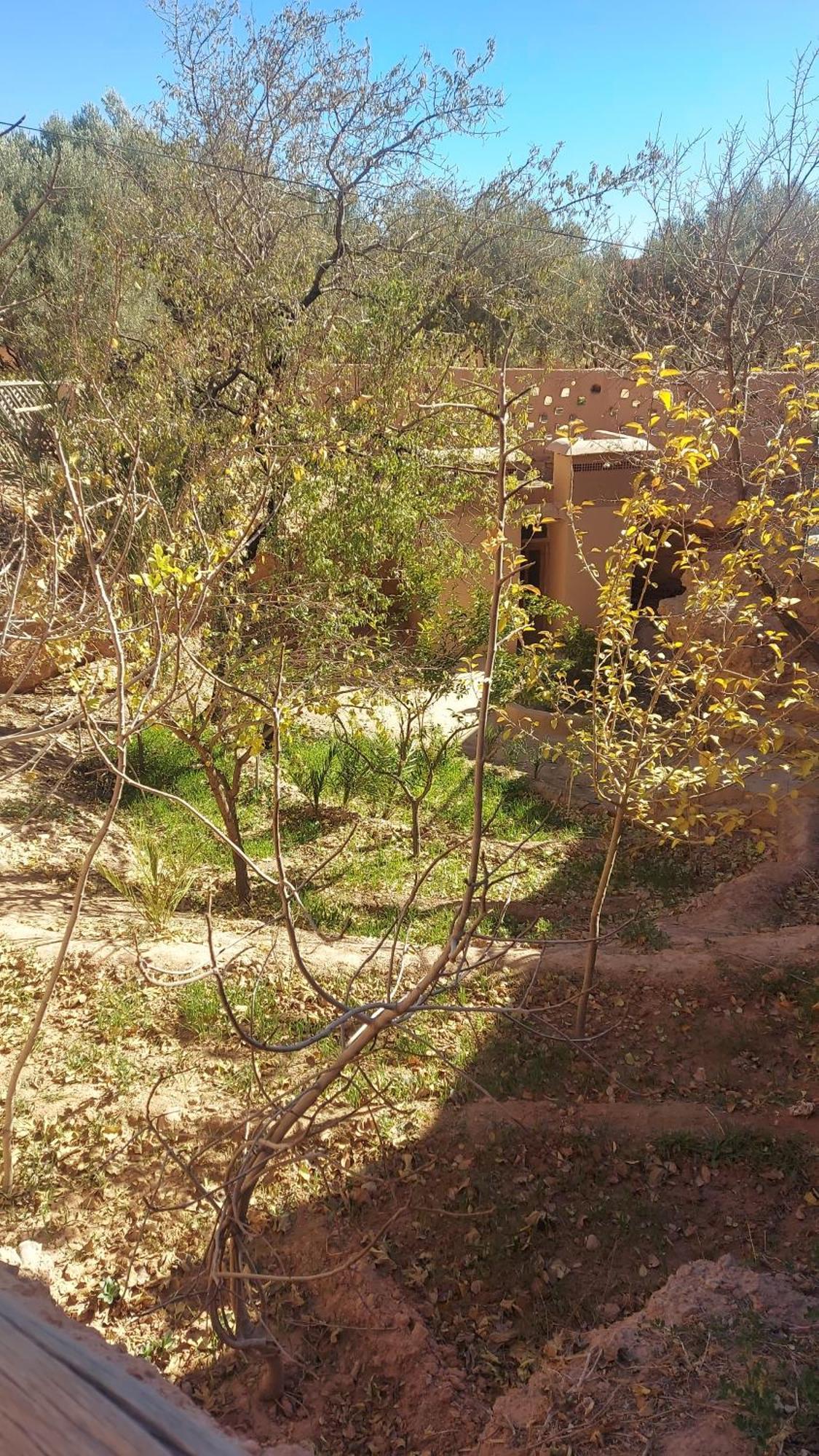 Ecolodge Miss Rose Chez La Famille Boumalne Exteriör bild